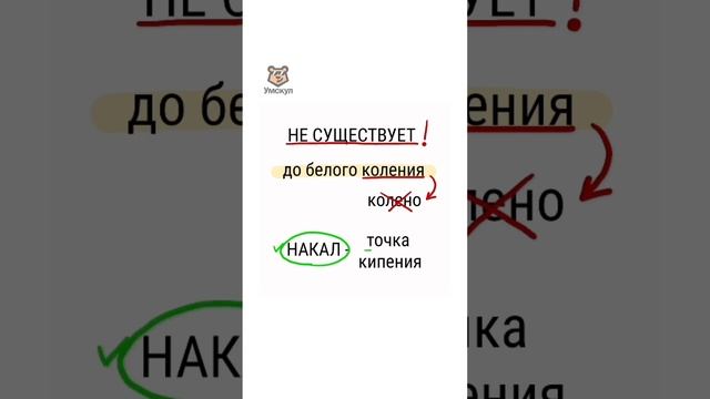 До белого к(?)ления | #русскийязык #егэ #егэрусскийязык смотреть онлайн