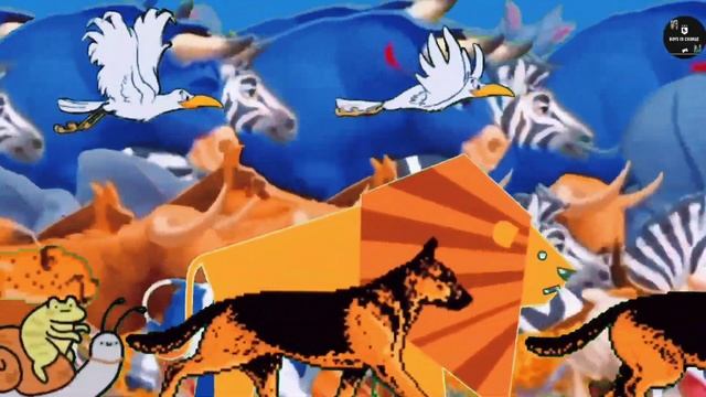 animal stampede video animated animals running birds horse dog elephant tiger zebra monkey смотреть онлайн