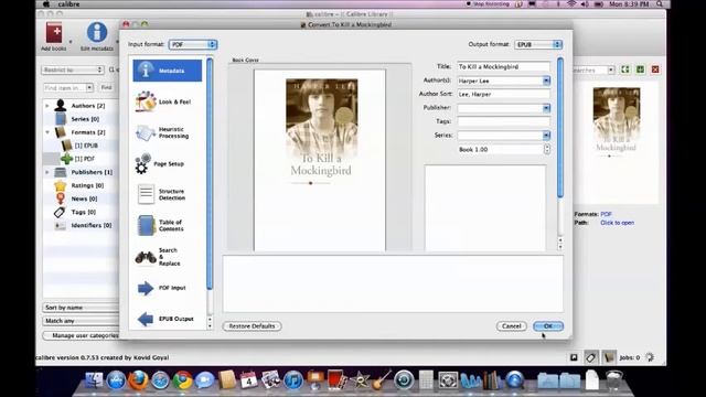 PDF to Epub in Calibre смотреть онлайн