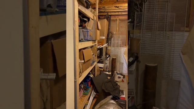 Наши в США. Стройка в подвале #сша #automobile #russianamerica #иммиграция #дальнобойпосша смотреть онлайн