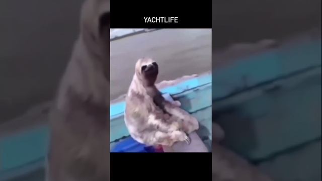 Яхтенная жизнь смотреть онлайн