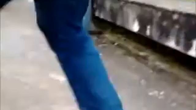 Skate- João Campos e Vasco Moreno смотреть онлайн