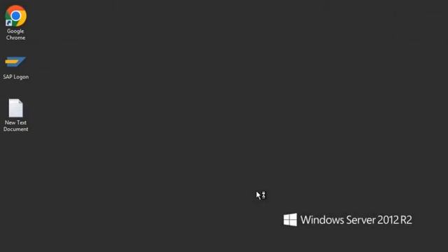 SAPGUI access through Remote Desktop Connection for Windows OS смотреть онлайн
