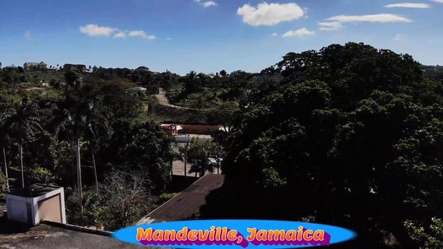Drone View Of Mandeville Hotel, Jamaica смотреть онлайн