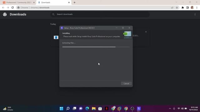 How To Install BurpSuite Professional In Windows Urdu/hindi смотреть онлайн