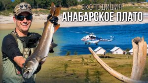 Экспедиция в Тайгу. Мамонты и Оленеводы. Рыбалка на Тайменя. Миграция Северных Оленей