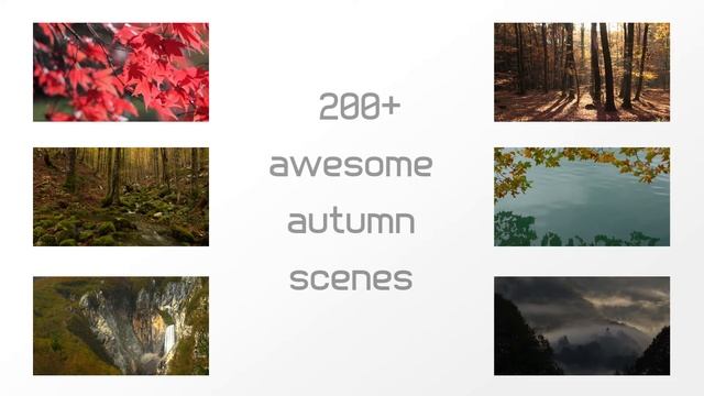 free autumn video wallpapers смотреть онлайн