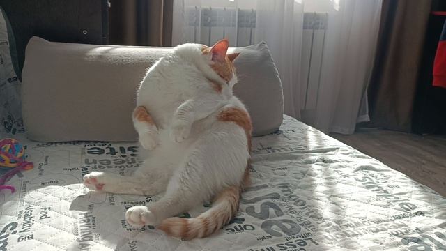 Кузя смотреть онлайн