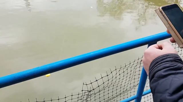 Outlife Смарт Эхолот Беспроводной Сонар смотреть онлайн