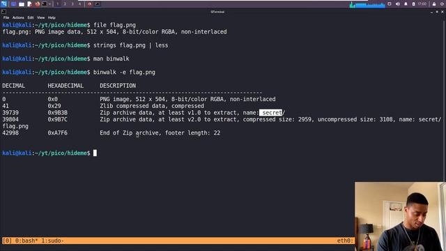 PNG Steganography! | picoCTF 2023 "hideme" смотреть онлайн