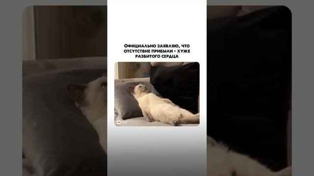 Отсутствие прибыли