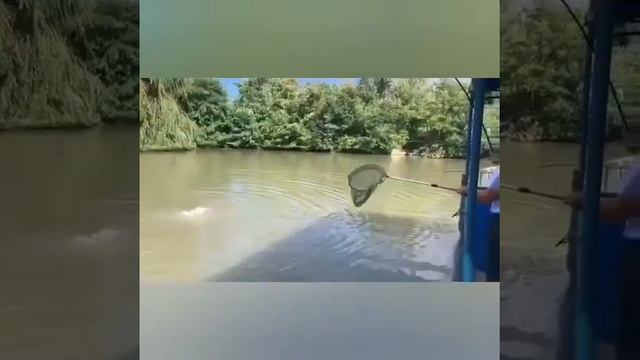 Что то на рыбалке пошло не так как надо смотреть онлайн