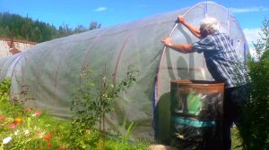 Как правильно установить теплицу