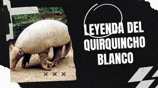 Leyenda del Quirquincho blanco | Leyendas de Bolivia смотреть онлайн