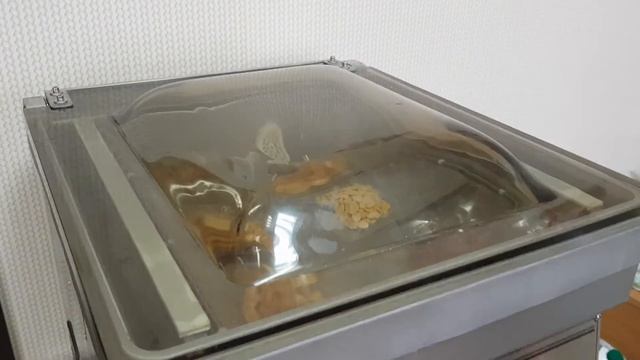 Вакуумный упаковщик рыбы, снэков, нарезки. DZ-400/2T смотреть онлайн