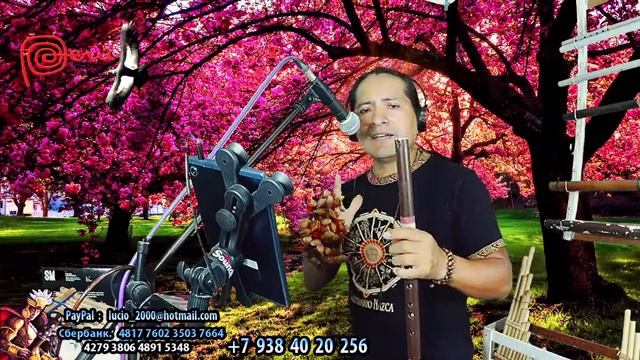 Musica en linea, Live Streaming 🤗🌹🕺💃🎼🎸🎤,andino,folclor, indiada, latino🌹🎂❤🎼🕺💃🥰 смотреть онлайн
