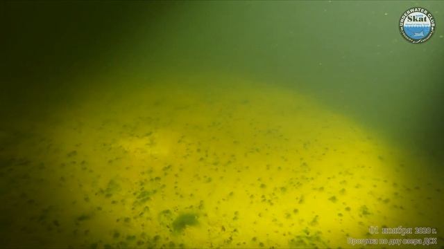 2020_11_01 - Прогулка по дну озера ДСК смотреть онлайн