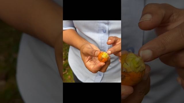 Индийские специи с секретом