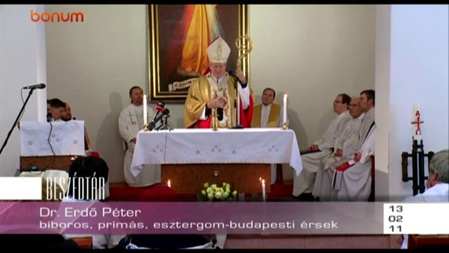 Dr. Erdő Péter bíboros szentbeszéde a Betegek Világnapja alkalmából смотреть онлайн