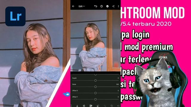 Download Lightroom MOD Versi Terbaru 2020 | No Password Via Google Drive & MediaFire смотреть онлайн