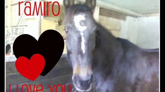 Ramiro I love you so mutch! смотреть онлайн