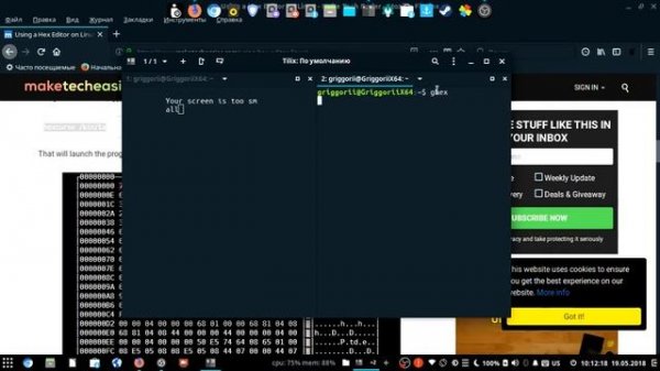 Linux Hex Editor ELF