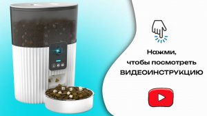 Автокормушка "Кактус"