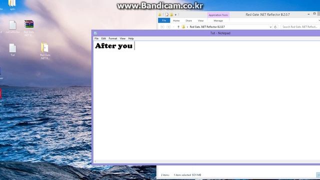 How to install Net Reflector смотреть онлайн
