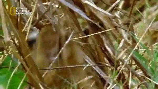 YouTube :https://play.google.com/store/apps/details?id=com.google.android.youtube