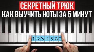 БЫСТРЫЙ и эффективный способ, как выучить все ноты фортепиано с НУЛЯ!