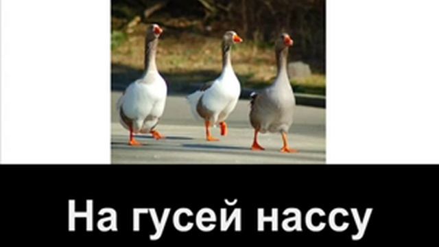 Караоке по-русски - Очень грустная песня смотреть онлайн