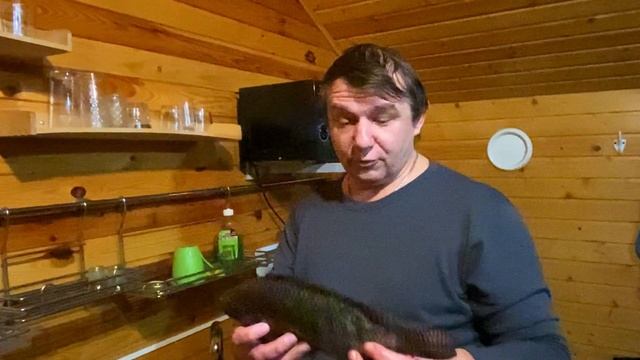 Тилапия нахлыстом. Тропическая рыба в морозах Средней Полосы. 2 и 3 день. смотреть онлайн