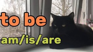 Вопросы  "с хвостиком" (Tag questions).