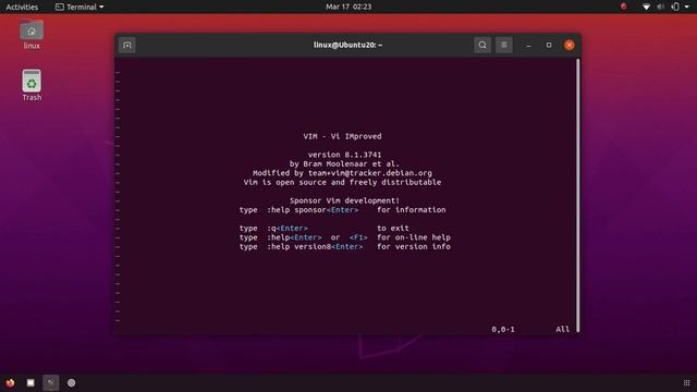 Installing VIM editor on Ubuntu via terminal in 30 seconds смотреть онлайн