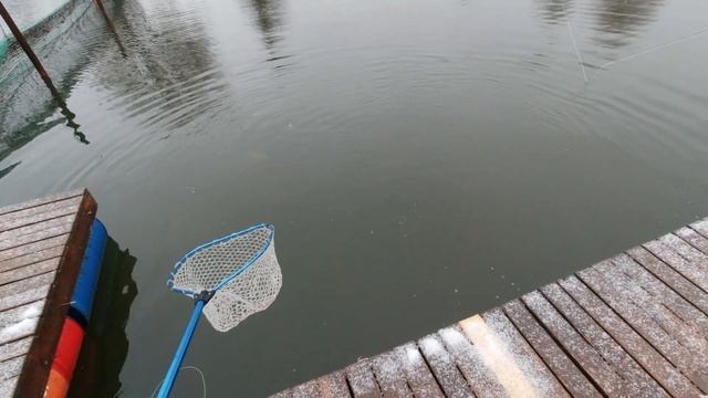 Выезд коллектива Fly-Fishing.ru. Открытие зимнего нахлыстового сезона 2023 - 2024. смотреть онлайн