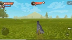 вилдкрафт 1 серия