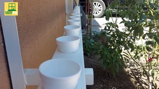 Hydroponics System on a Home Window Using Deep Flow Technique (DFT) смотреть онлайн