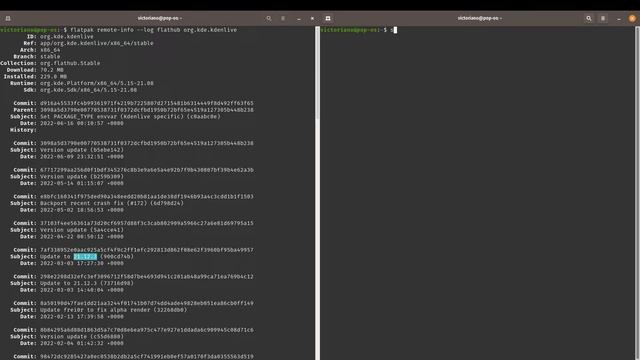 Flatpak - Beginner's Tutorial смотреть онлайн