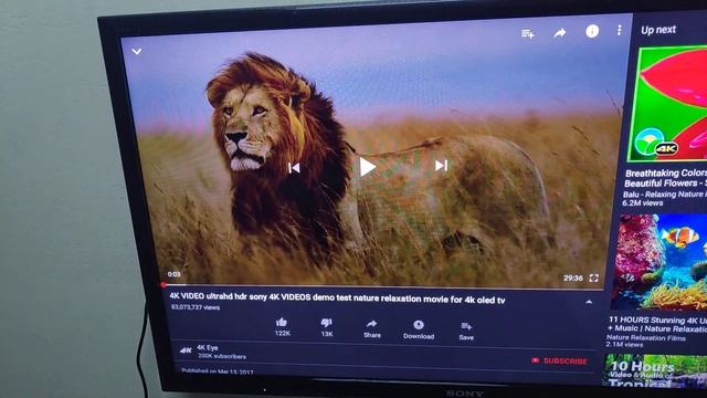 Adakah Android Box Tanix Tx6 Support 4K videos?? смотреть онлайн