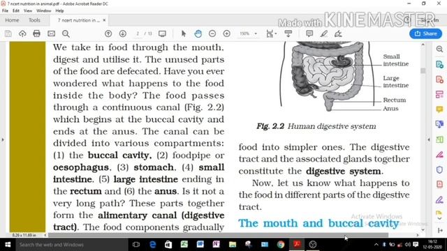 Class-7 Chapter-2 Nutrition in Animals Part-1 NCERT #stayhome #staysafe смотреть онлайн
