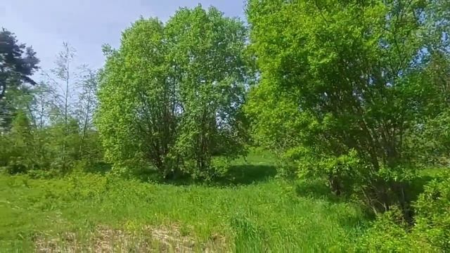 Золотой пляж озера Отрадное смотреть онлайн