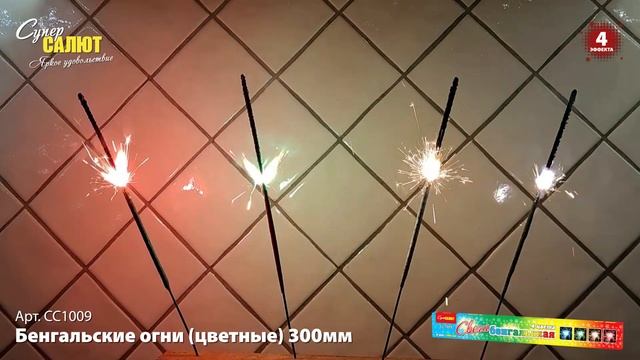 СС1009_2024 смотреть онлайн