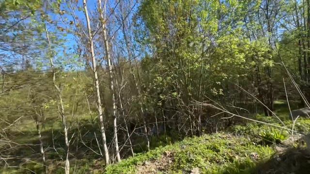 Продажа 10 соток,» 15 минут от СПб ,рядом озеро, подходит под ипотеку 6% смотреть онлайн