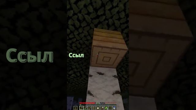 Свой сервер! Залетай по ссылке в закрепе! смотреть онлайн