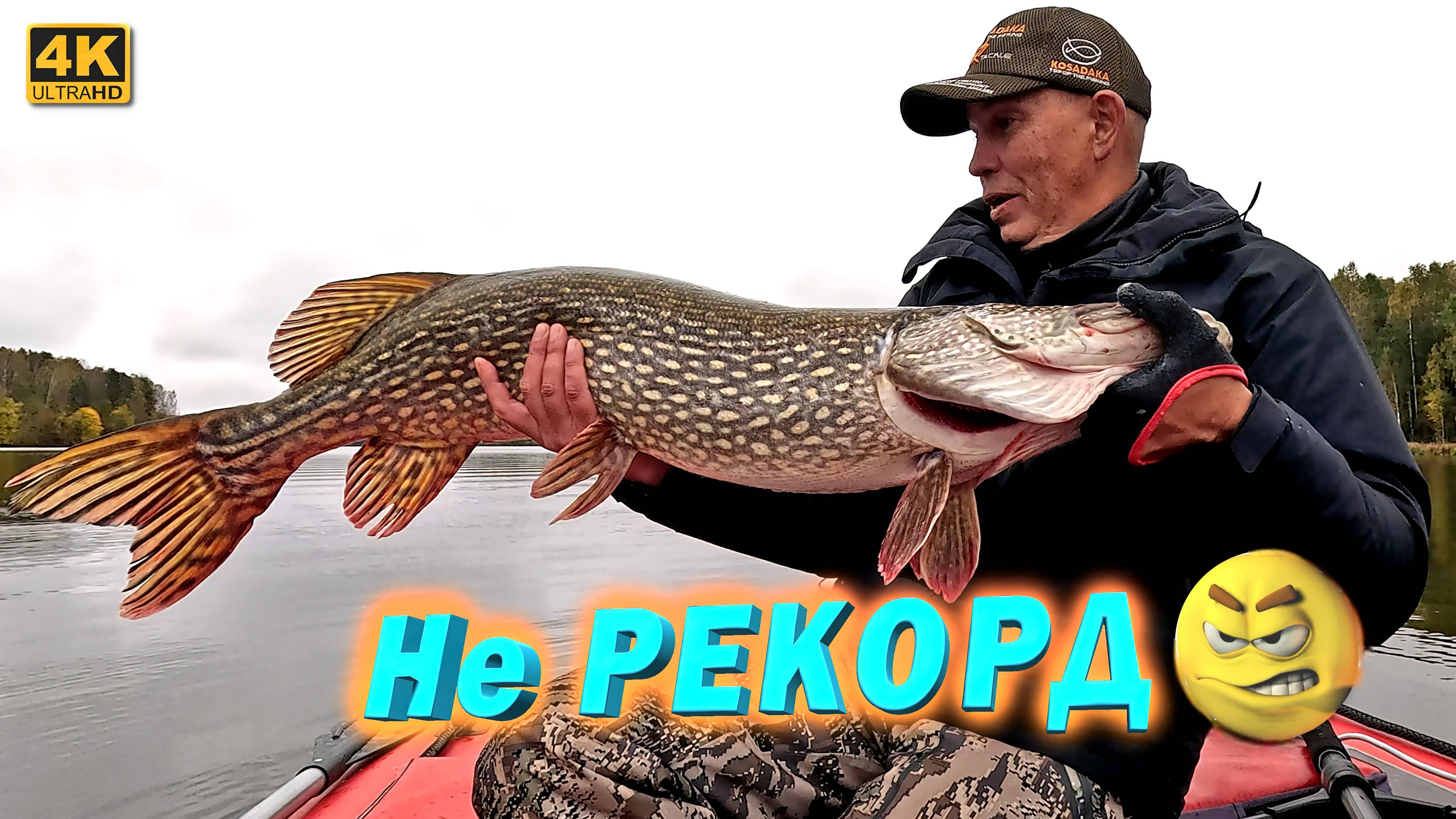 Щука крокодил, но не рекорд. Рыбалка с Panoptix LiveScope смотреть онлайн