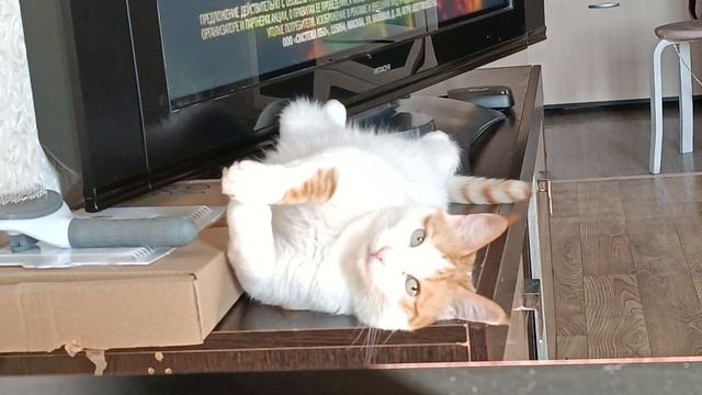 Кузя смотреть онлайн