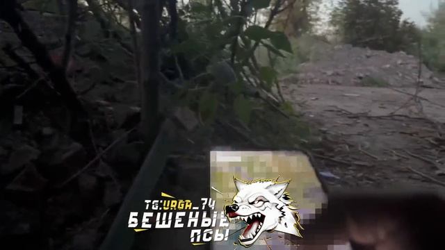 ⚡️СВО 18+ Штурм укрепрайона в лесополосах Гродовки смотреть онлайн