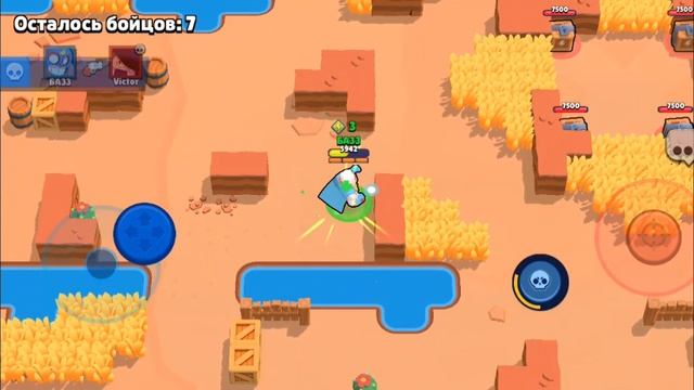 браво старс 2