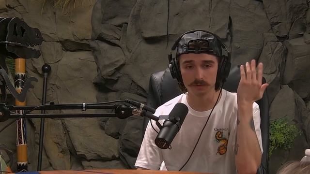 Noah Explains, Alpaca BDSM смотреть онлайн