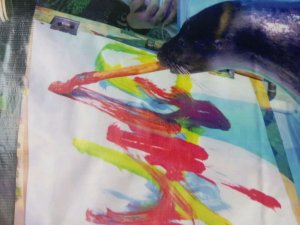 Приехал!!! В нерпинарий!!!! Встретил Нерпа